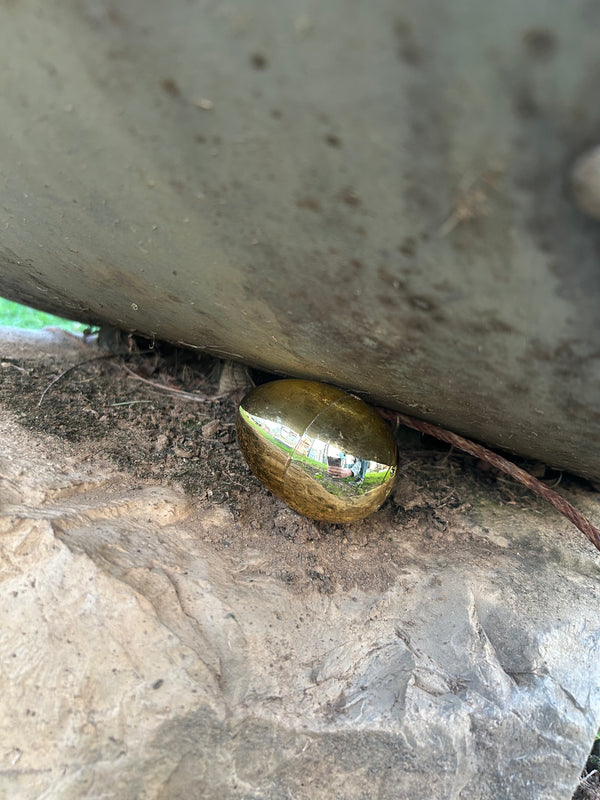 Egg 7
