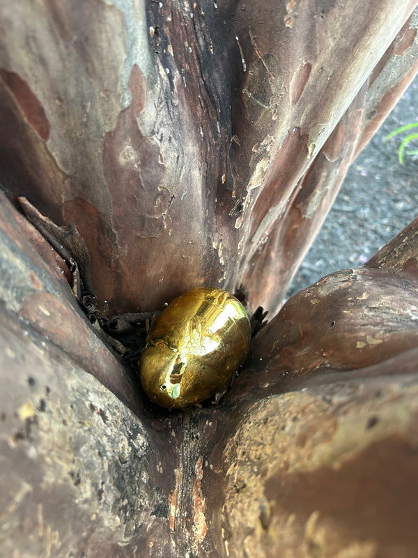 Egg 31
