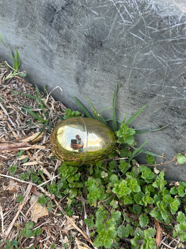 Egg 19
