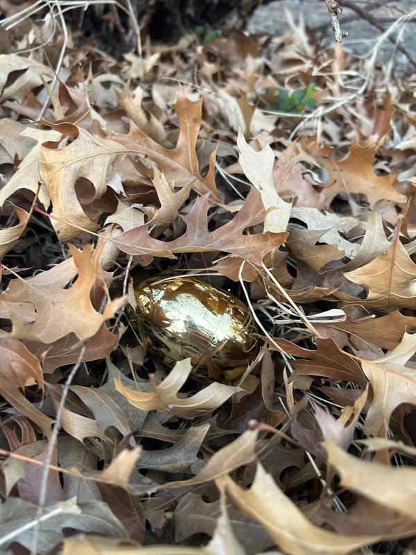 Egg 1