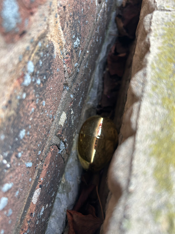 Egg 5
