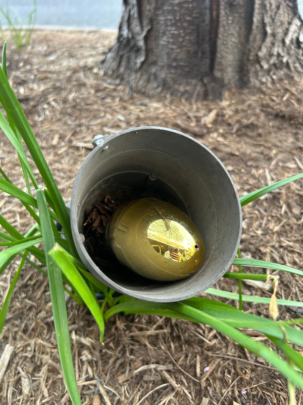 Egg 2