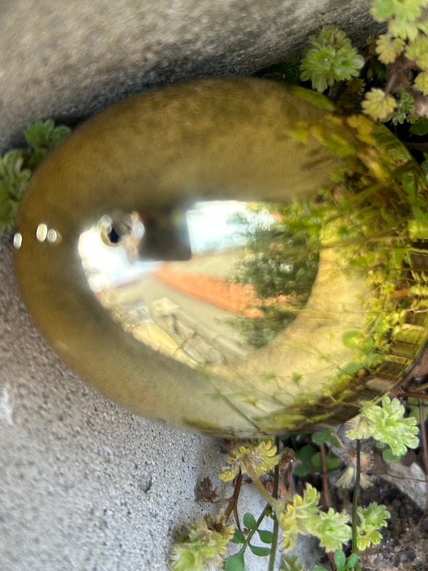 Egg 9