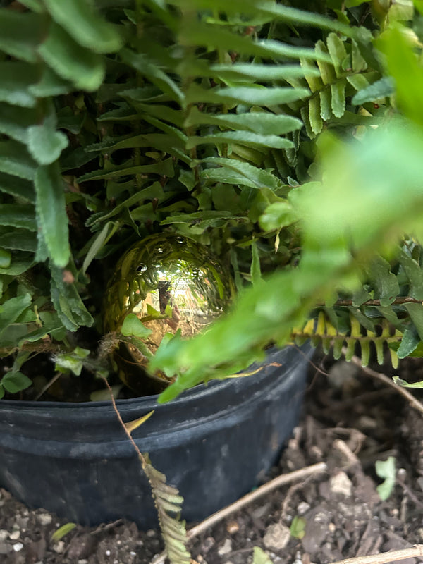 Egg 3