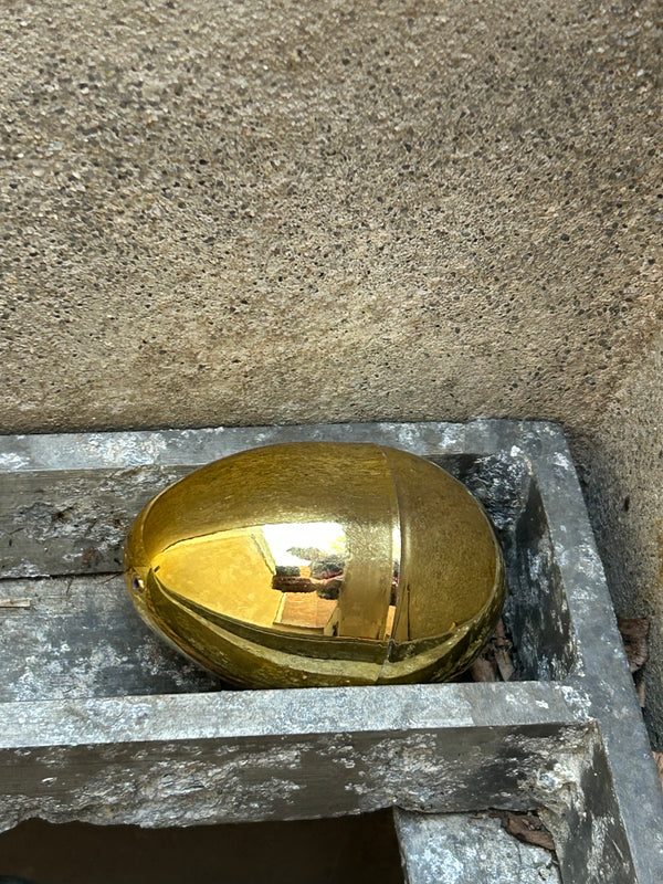 Egg 11