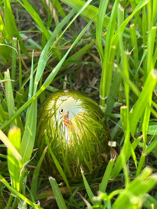 Egg 34