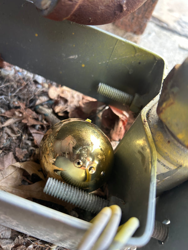 Egg 6