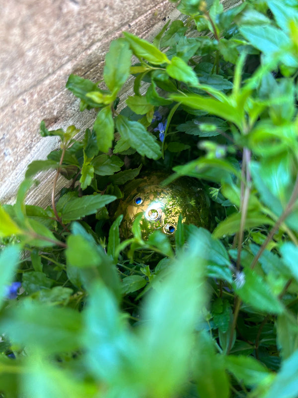 Egg 10